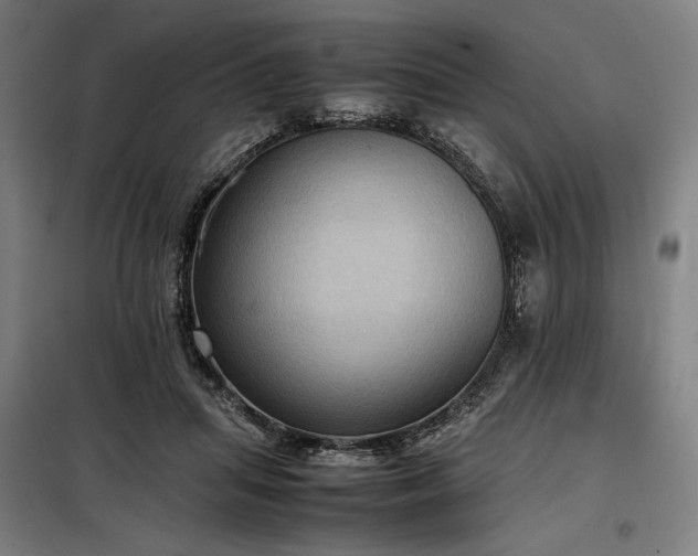 X0000098000455200804021035