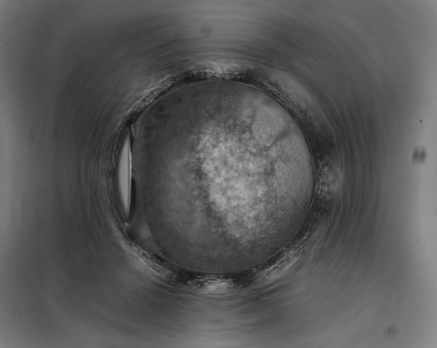 X0000098000456200804021035
