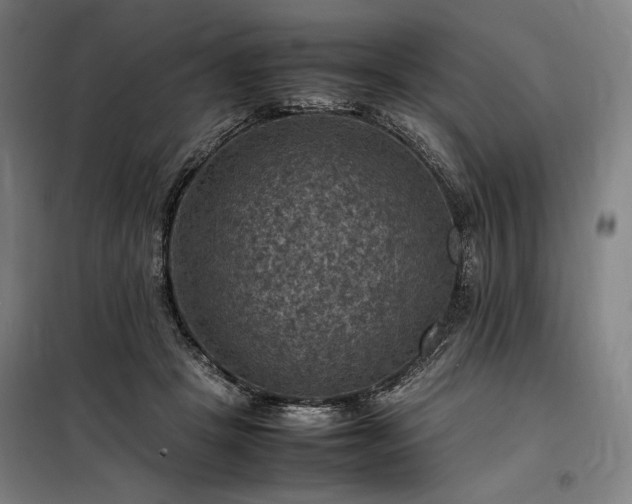 X0000098000457200804021035