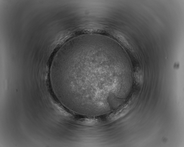 X0000098000458200804021035