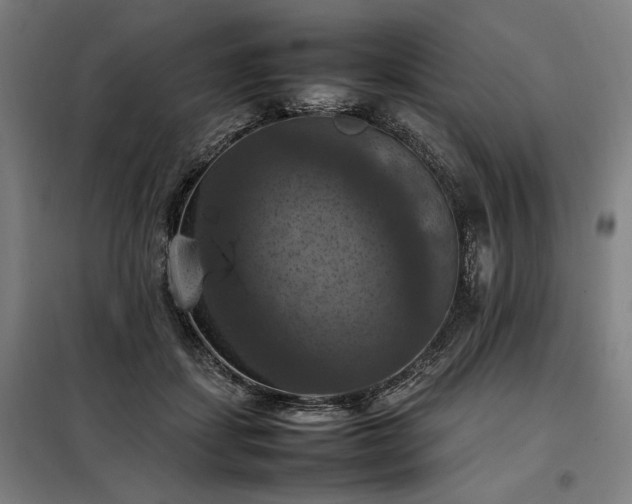 X0000098000459200804021035