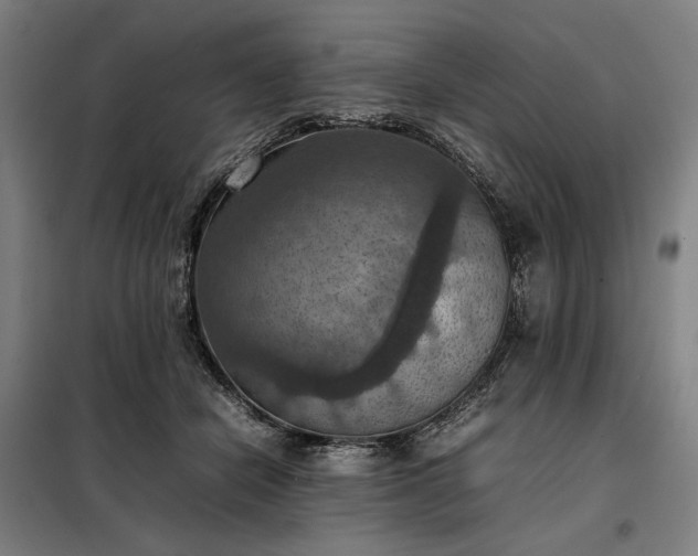 X0000098000462200804021035