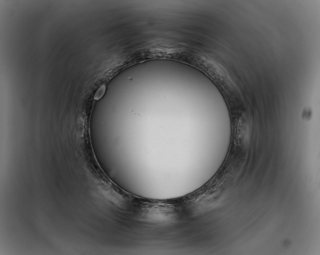 X0000098000463200804021035