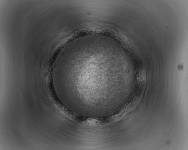 X0000098000464200804021035