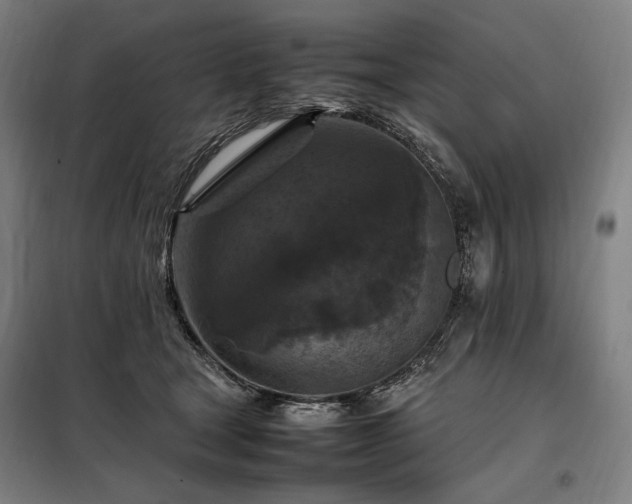 X0000098000465200804021035