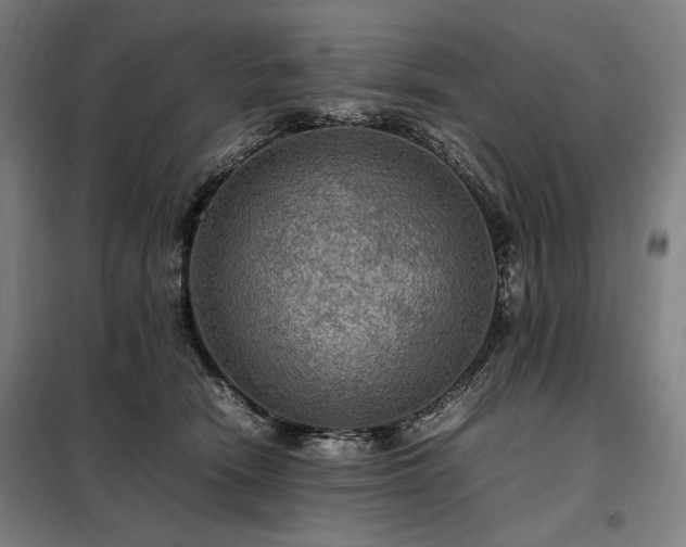 X0000098000466200804021035