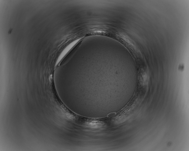 X0000098000467200804021035