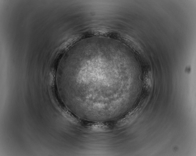 X0000098000468200804021035