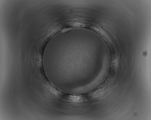 X0000098000469200804021035