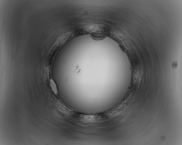 X0000098000473200804021035