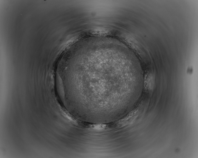 X0000098000474200804021035
