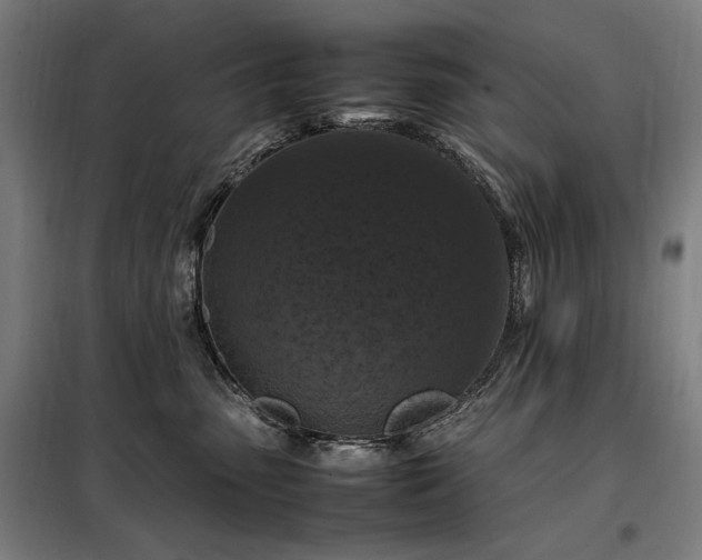 X0000098000475200804021035