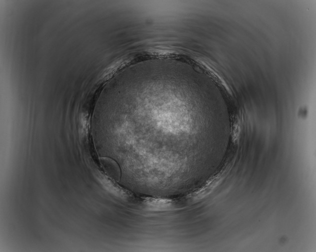 X0000098000476200804021035