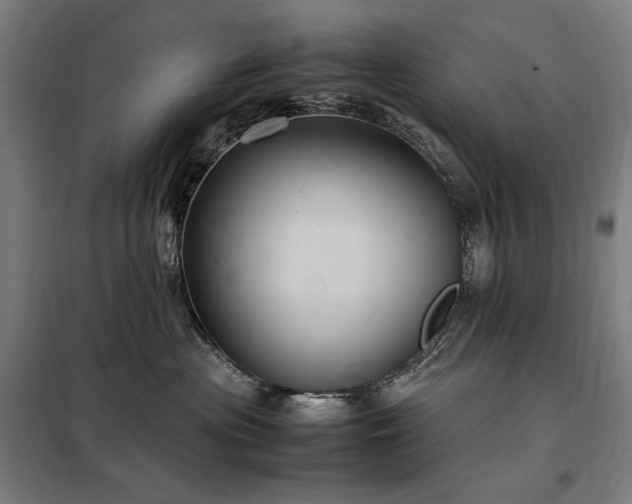 X0000098000477200804021035