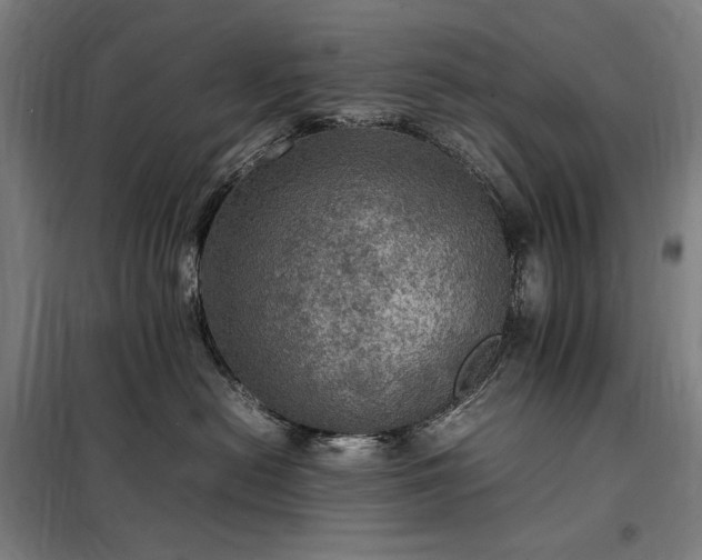 X0000098000478200804021035