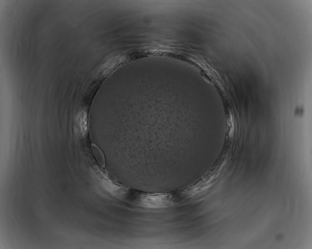 X0000098000479200804021035