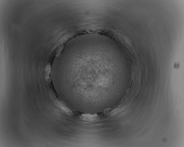 X0000098000480200804021035