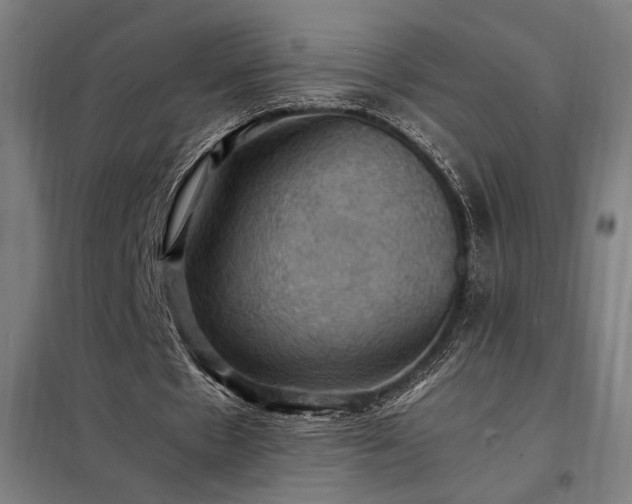 X0000098000481200804021035