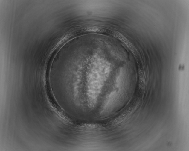 X0000098000482200804021035