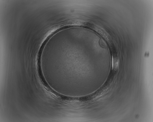 X0000098000483200804021035