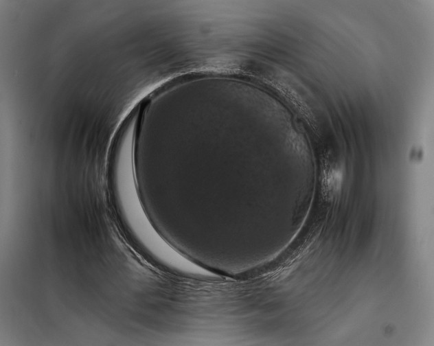 X0000098000484200804021035