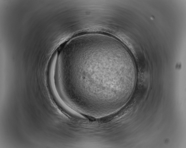 X0000098000485200804021035