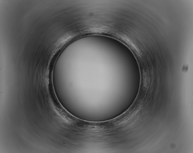 X0000098000486200804021035