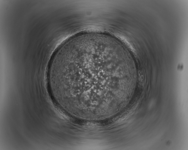 X0000098000487200804021035