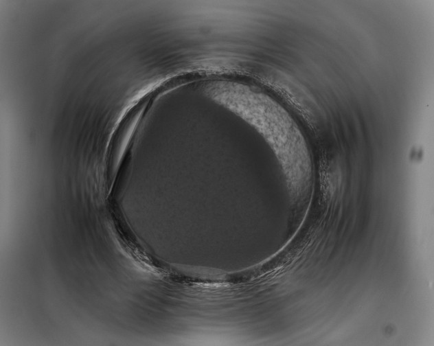 X0000098000488200804021035