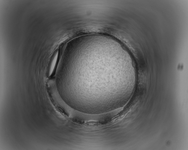 X0000098000489200804021035