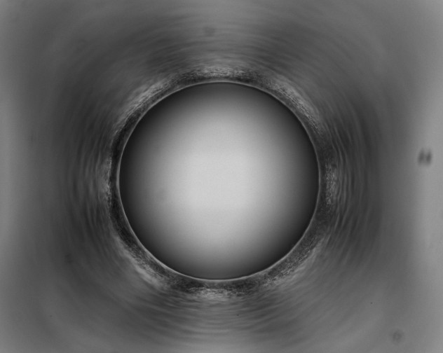 X0000098000490200804021035