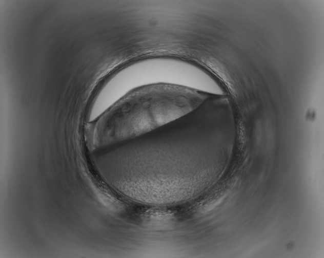 X0000098000491200804021035