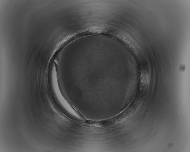 X0000098000492200804021035