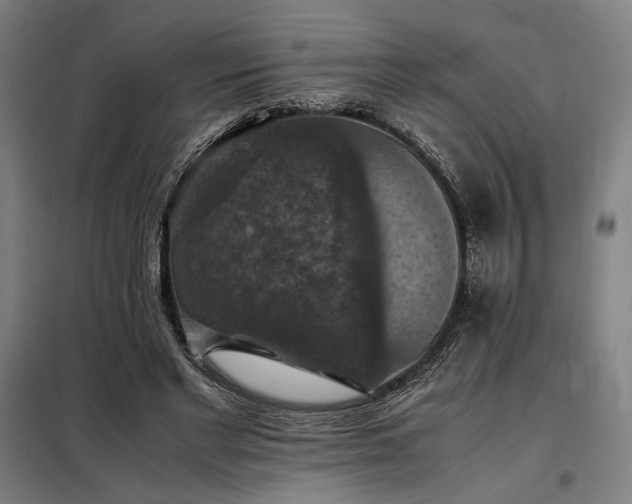 X0000098000493200804021034