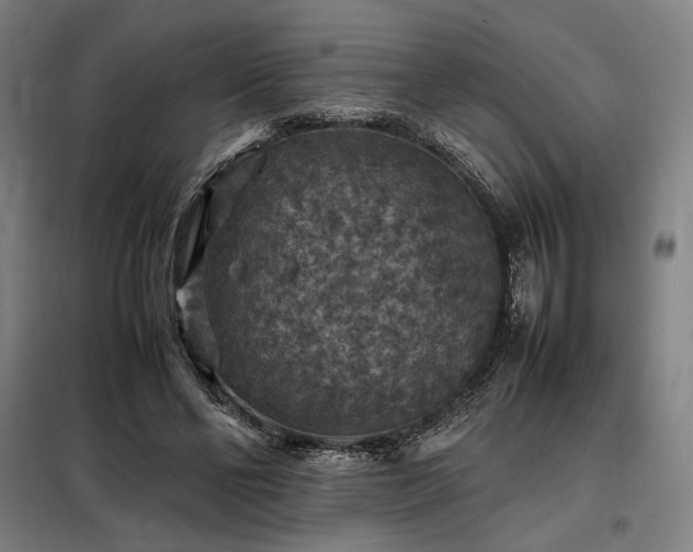 X0000098000494200804021034