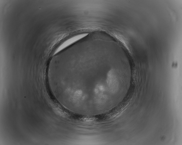 X0000098000495200804021034