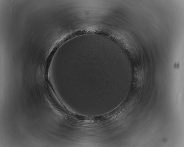 X0000098000496200804021034