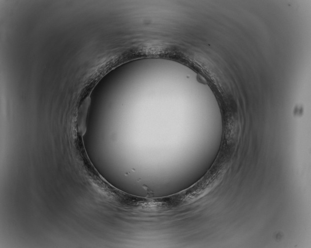 X0000098000497200804021034