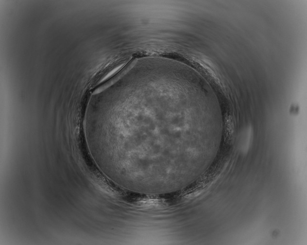 X0000098000499200804021034
