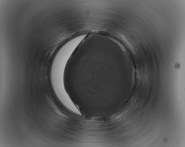 X0000098000500200804021034