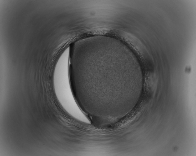X0000098000501200804021034
