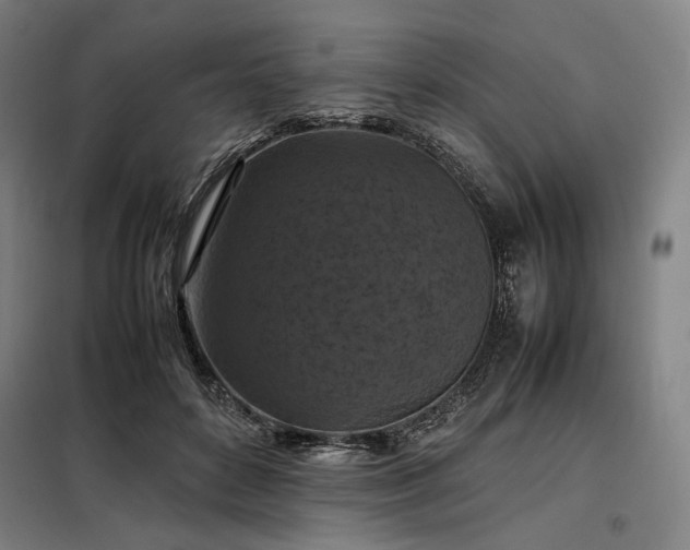 X0000098000504200804021034