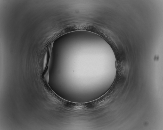 X0000098000505200804021034