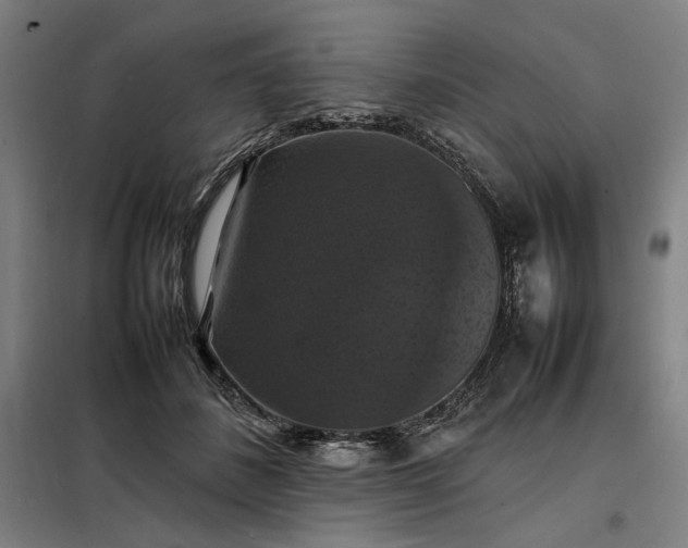 X0000098000508200804021034