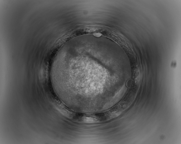X0000098000510200804021034