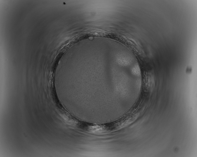 X0000098000511200804021034