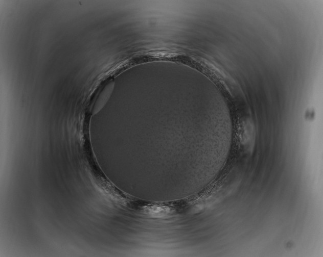 X0000098000512200804021034