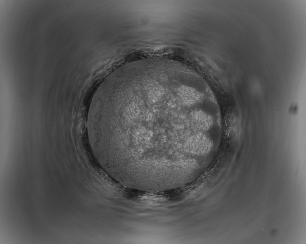 X0000098000515200804021034