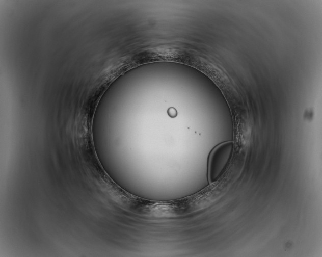 X0000098000518200804021034