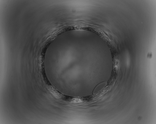 X0000098000519200804021034